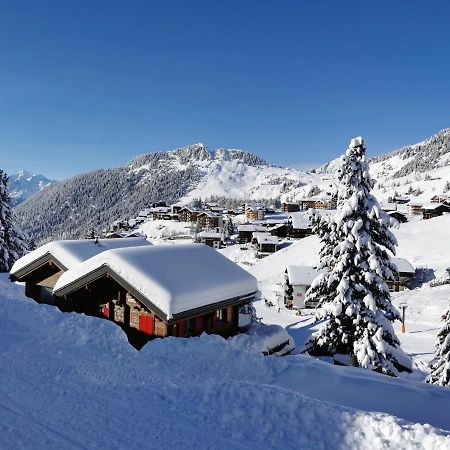 Chalet Enzian Riederalp Zewnętrze zdjęcie