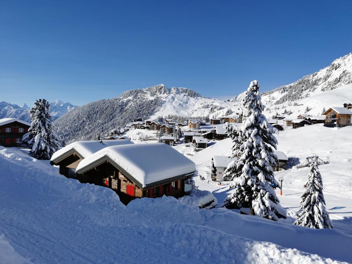 Chalet Enzian Riederalp Zewnętrze zdjęcie