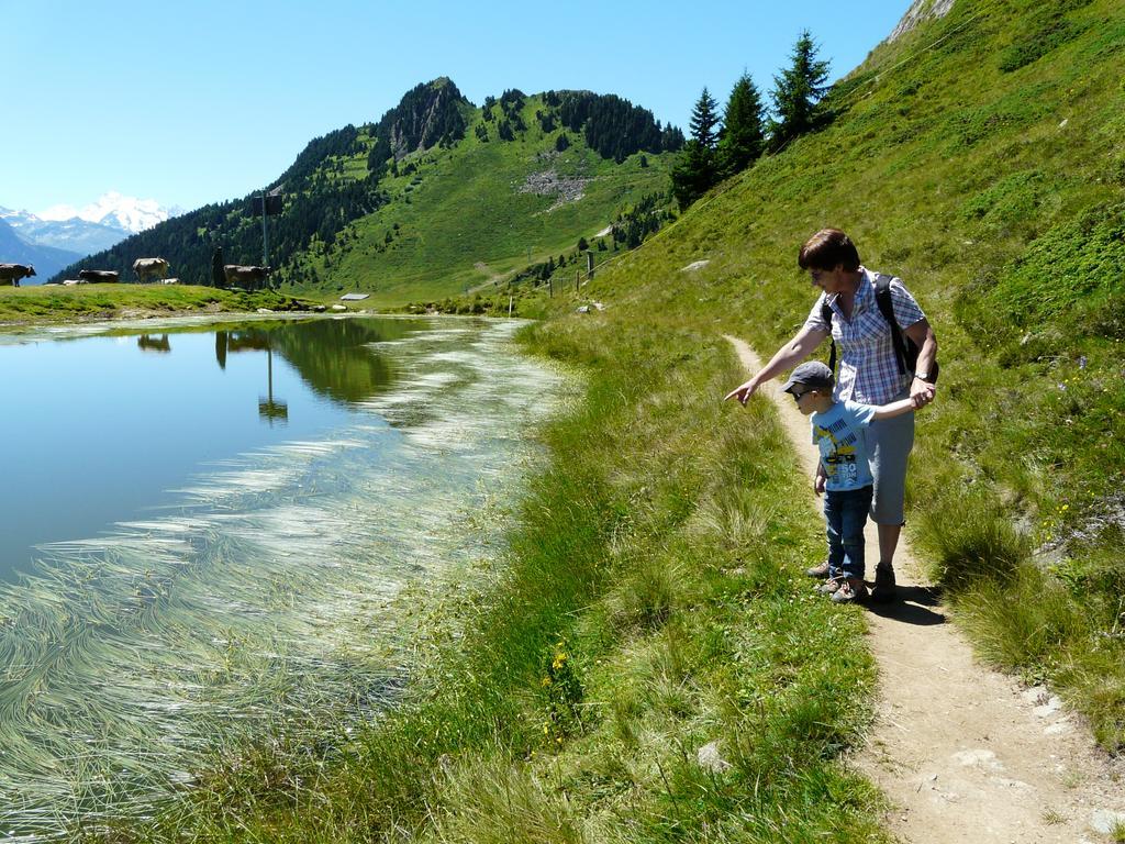 Chalet Enzian Riederalp Zewnętrze zdjęcie