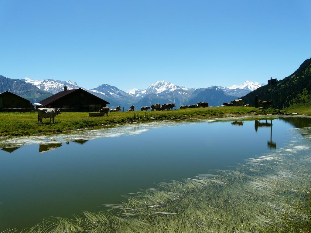 Chalet Enzian Riederalp Zewnętrze zdjęcie