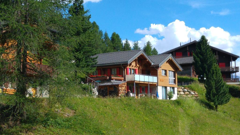 Chalet Enzian Riederalp Zewnętrze zdjęcie