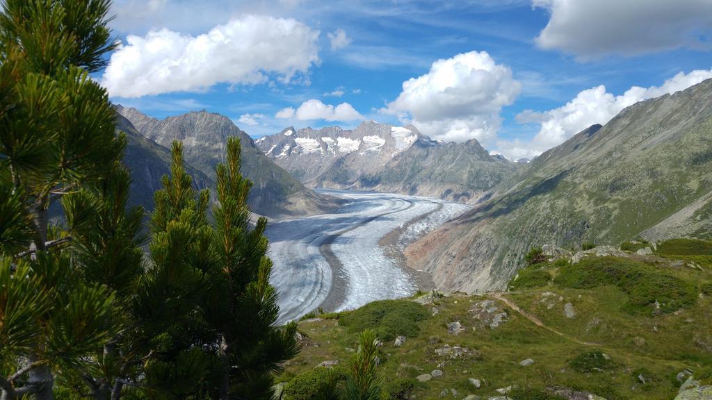 Chalet Enzian Riederalp Zewnętrze zdjęcie