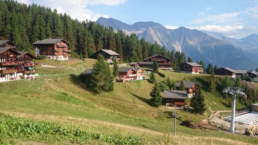 Chalet Enzian Riederalp Zewnętrze zdjęcie