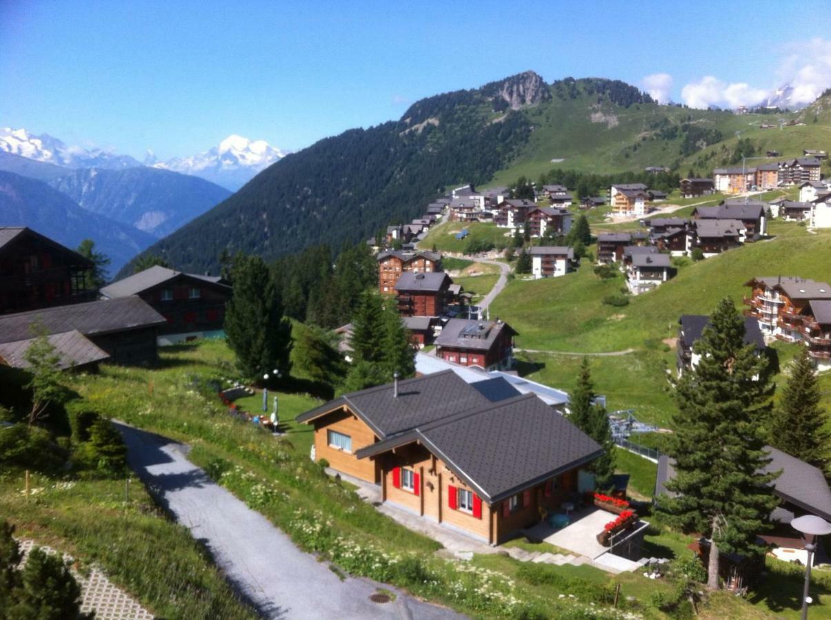 Chalet Enzian Riederalp Zewnętrze zdjęcie